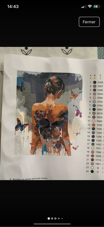 Kit complet de peinture par numéro - Neuf