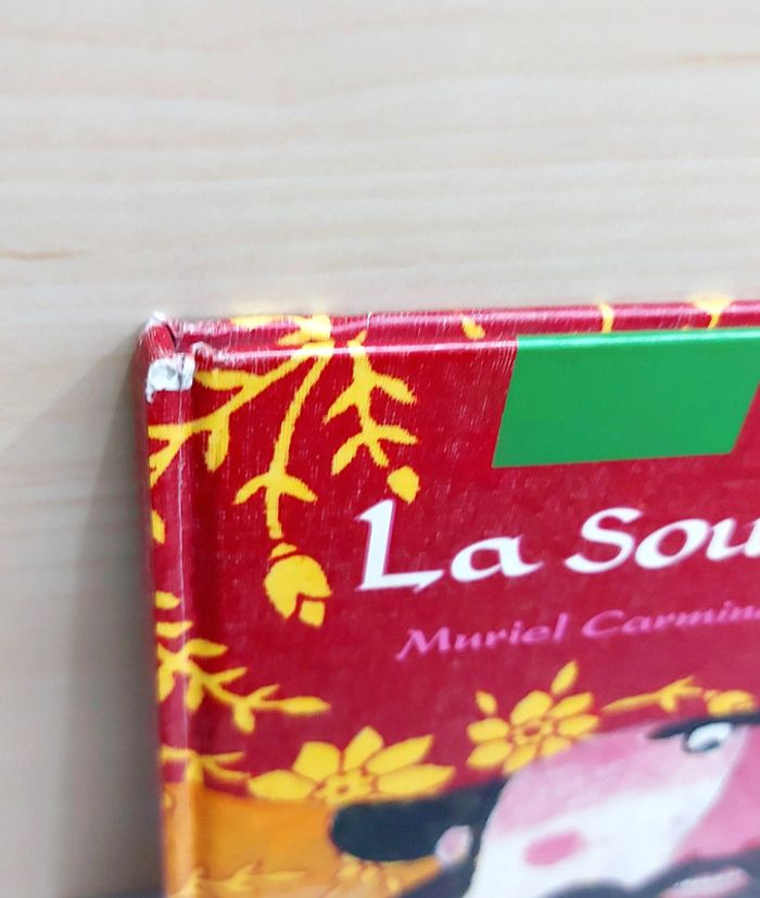 📚 Livre : La souris de Vishnou - photo numéro 7