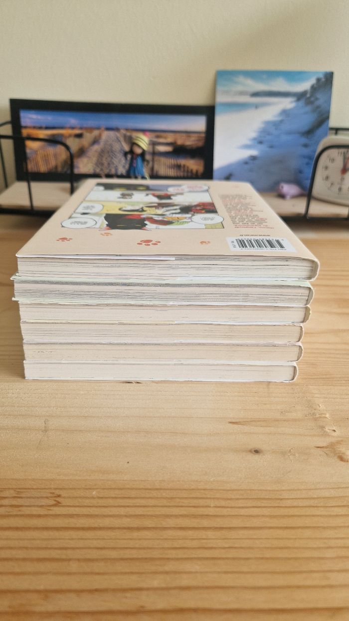 Manga mon chat à tout faire est encore tout déprimé - photo numéro 2