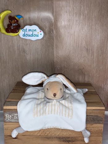 MPC27 doudou lapin 🐰 mes petits cailloux