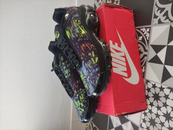 TN multicolore