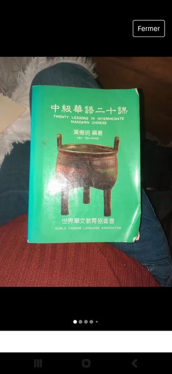 Livre twenty lessions intermediate mandarin chinese