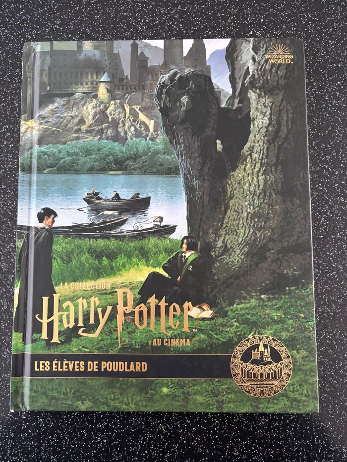 Harry Potter au cinéma, Les élèves de Poudlard