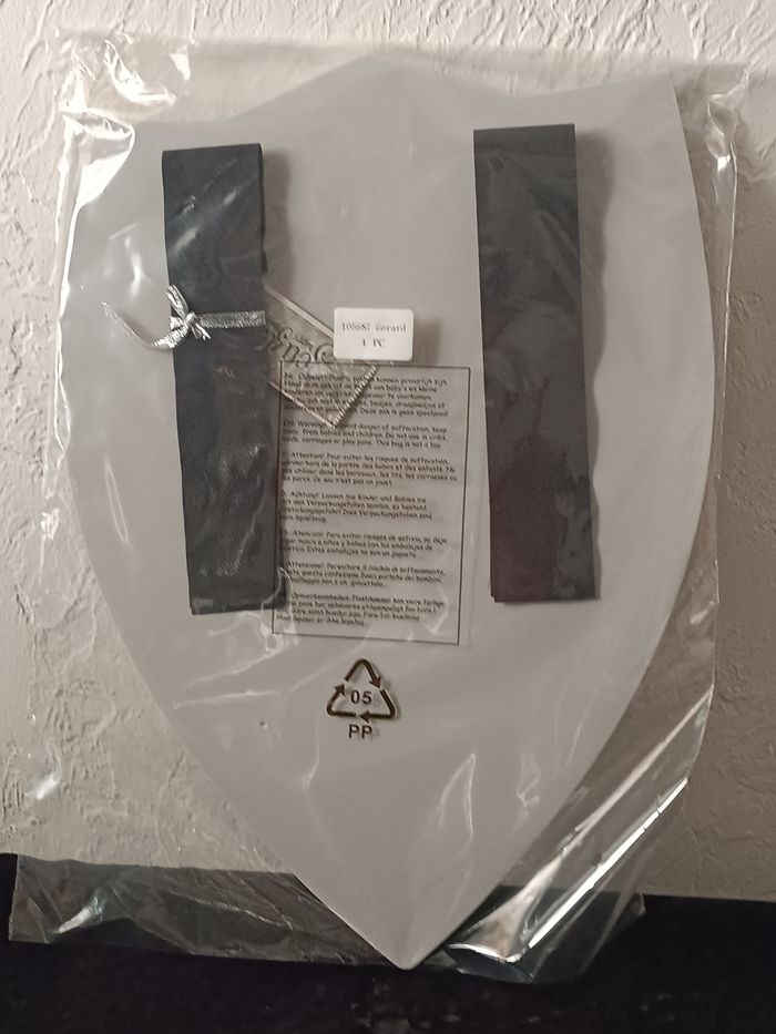 Déguisement bouclier Souza - photo numéro 4