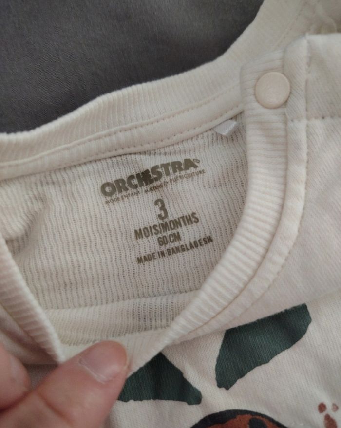 Pull léger orchestra - photo numéro 2