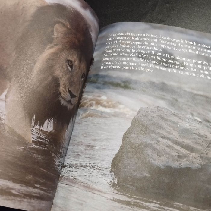 Livre Disney félins - photo numéro 4