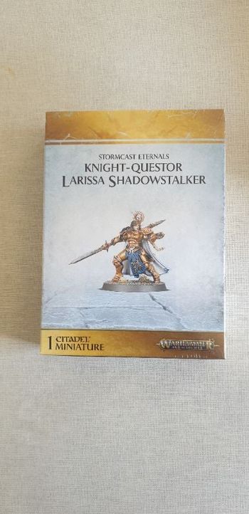 Warhammer figurine + sac collector Stormcast Eternals Knight Questor Larissa Shadowstalker payé 99€