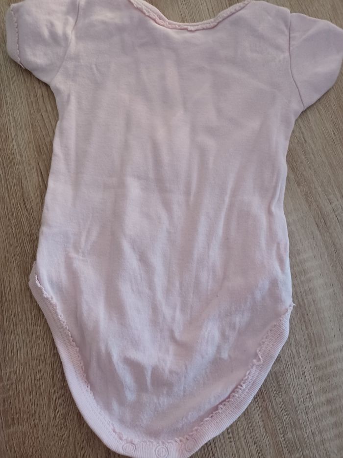 Bodie 6 mois - photo numéro 4