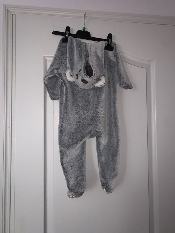 Grenouillère koala - photo numéro 2