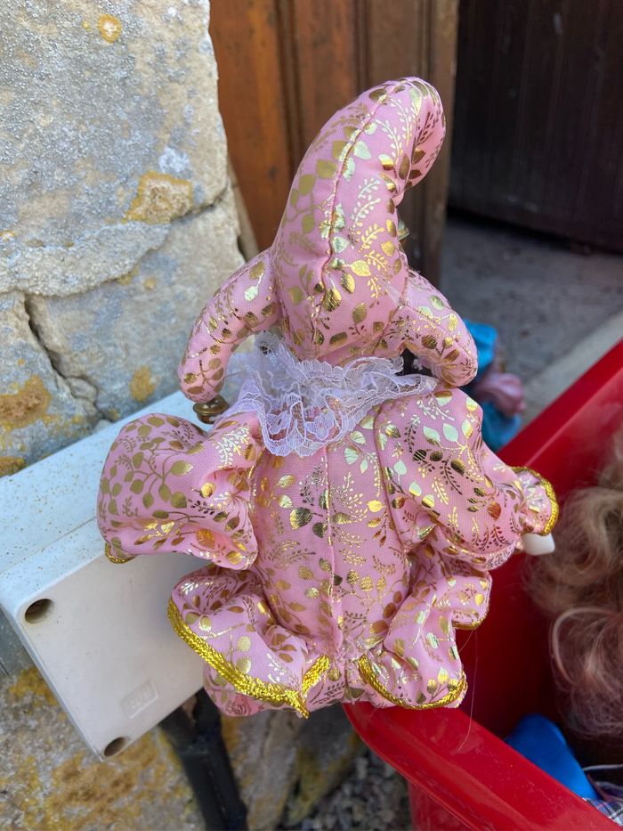 Arlequin - photo numéro 2