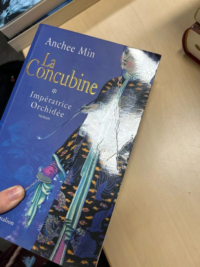 La concubine Impératrice orchidée Anchee Min - photo numéro 5