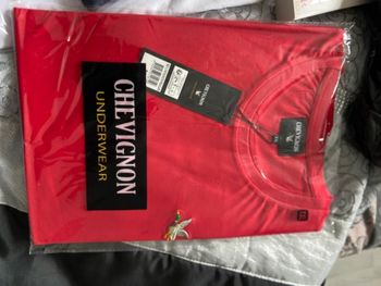 TEE shirt chevignon