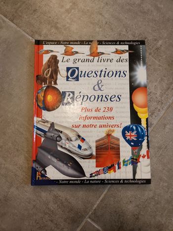 Livre : le grand livre des Questions et réponses