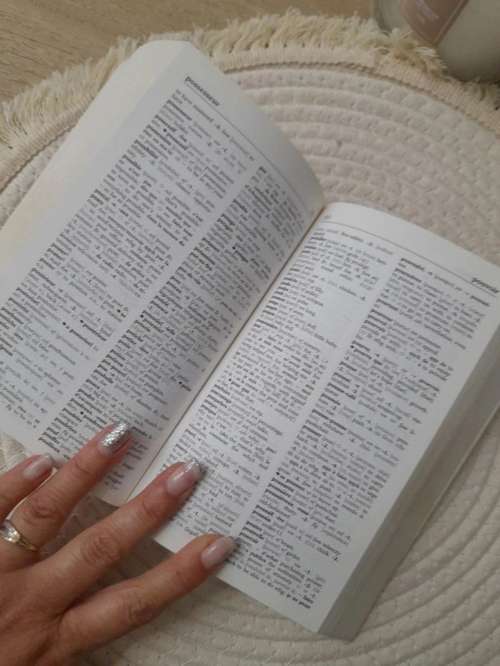 Dictionnaire Français Anglais - photo numéro 4