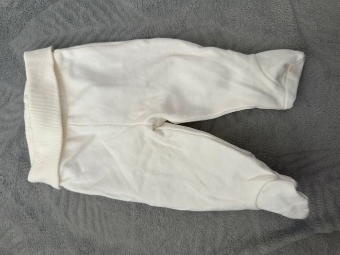 Colant blanc - photo numéro 2