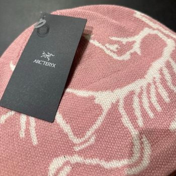 Bonnet Arc’Teryx - Bird Head Toque - photo numéro 3