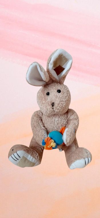 Peluche / doudou lapin 🐰 pour enfants