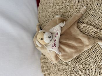 Lapin et Ours NOUNOURS doudou plat 2 côtés : Cache toi ! Trouve moi !