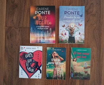 Lot 4 romans de Carène Ponte