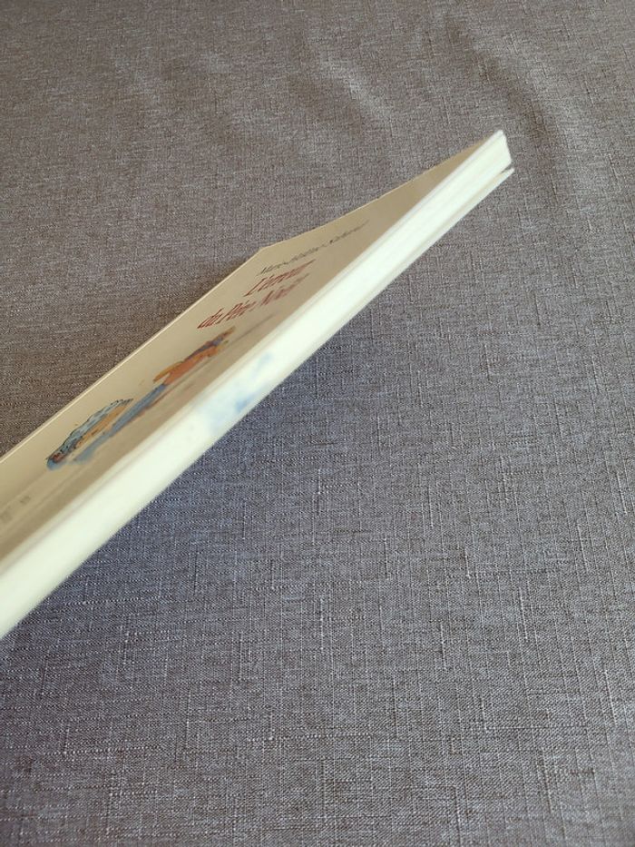 L'erreur du Père Noël de Marie-Hélène Sabard - photo numéro 4