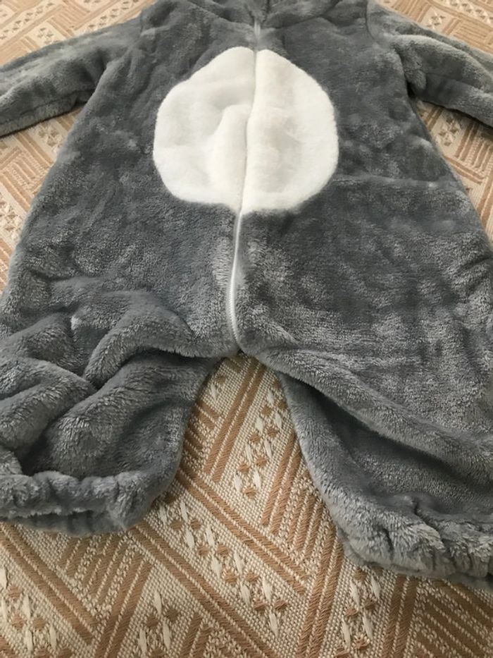 Combi polaire - photo numéro 2