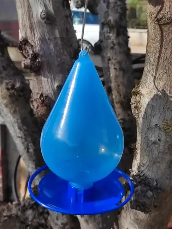 Abreuvoir pour oiseaux