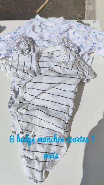 Bodys manches courtes