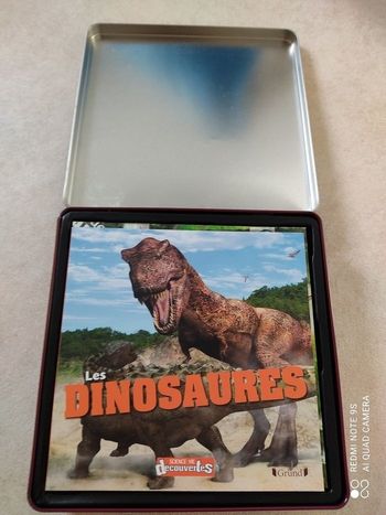 Jeu dinosaure