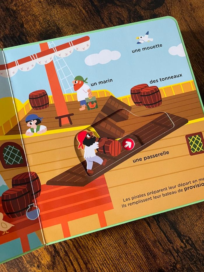 Livre pirates - photo numéro 3