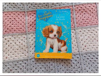 Livre les chiots magiques 9