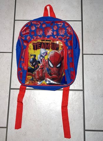 sac spiderman