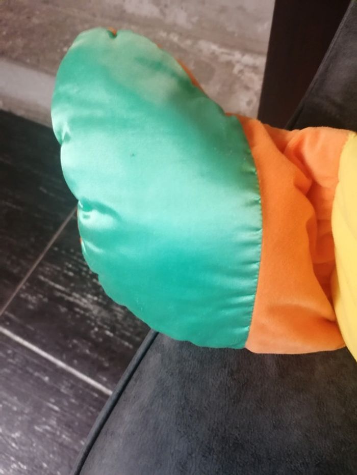 Gros canard - photo numéro 8