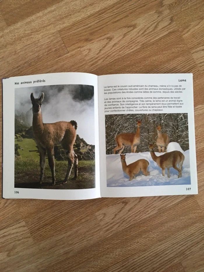 Animaux Encyclopédie XL des animaux préférés - photo numéro 3