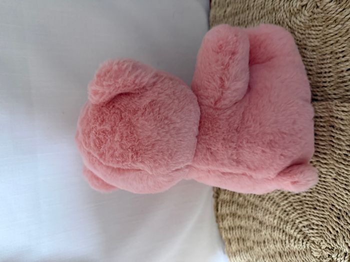 Ourson My sweet teddy rose - photo numéro 4