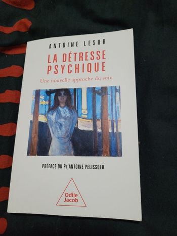 La détresse psychique Antoine Lesur