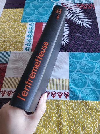 L'entremetteuse de Guy des Cars