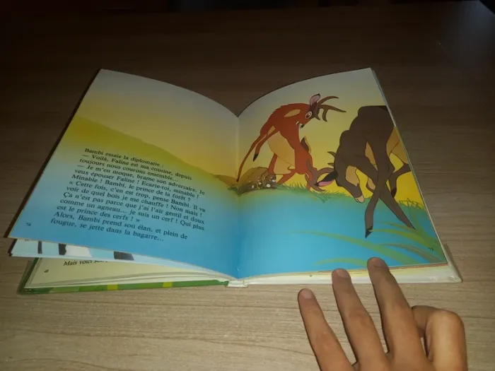 Livre Bambi - photo numéro 2