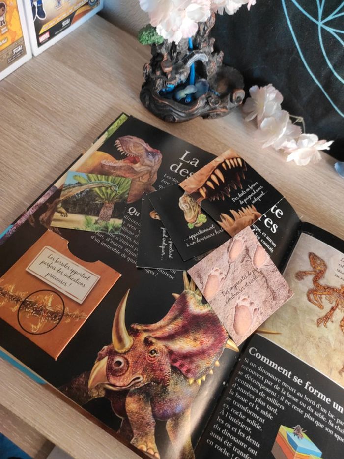 Incroyables dinosaures – L'incroyable encyclopédie – Larousse - photo numéro 7