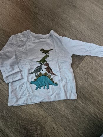 Tee shirt dinosaures