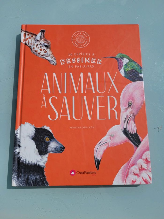 Livre 30 espèces à dessiner en pas-à-pas 🦩 Animaux à sauver 🦒 Beaux-Arts pour la terre (72) - photo numéro 2