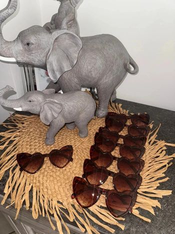 Lot 8 paires du lunettes evjf mariage léopard