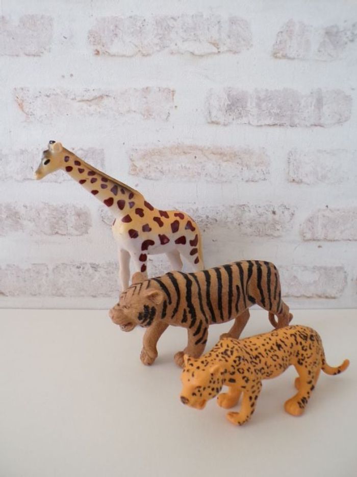 Animaux de la savane - Jungle (J13)