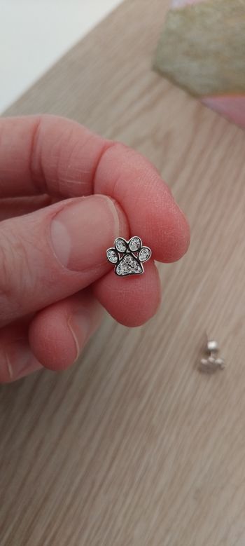 Boucles oreilles ( puces ) pattes d animaux neuves