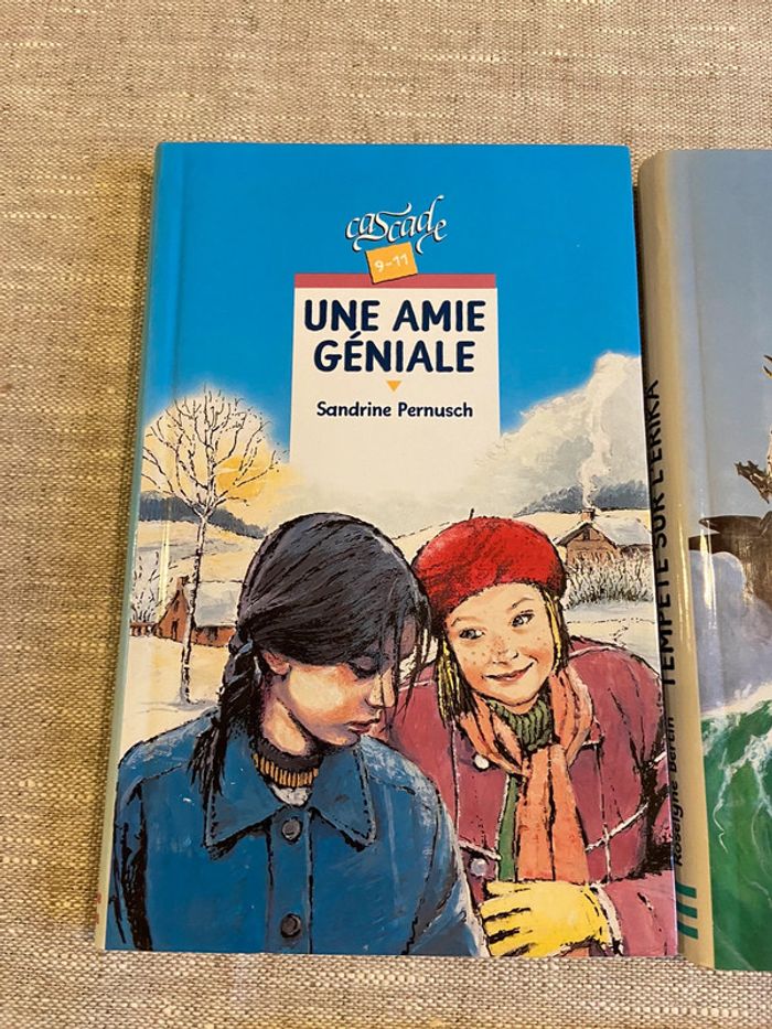 Lot de cinq romans jeunesse lecteurs 10/12 ans - photo numéro 2
