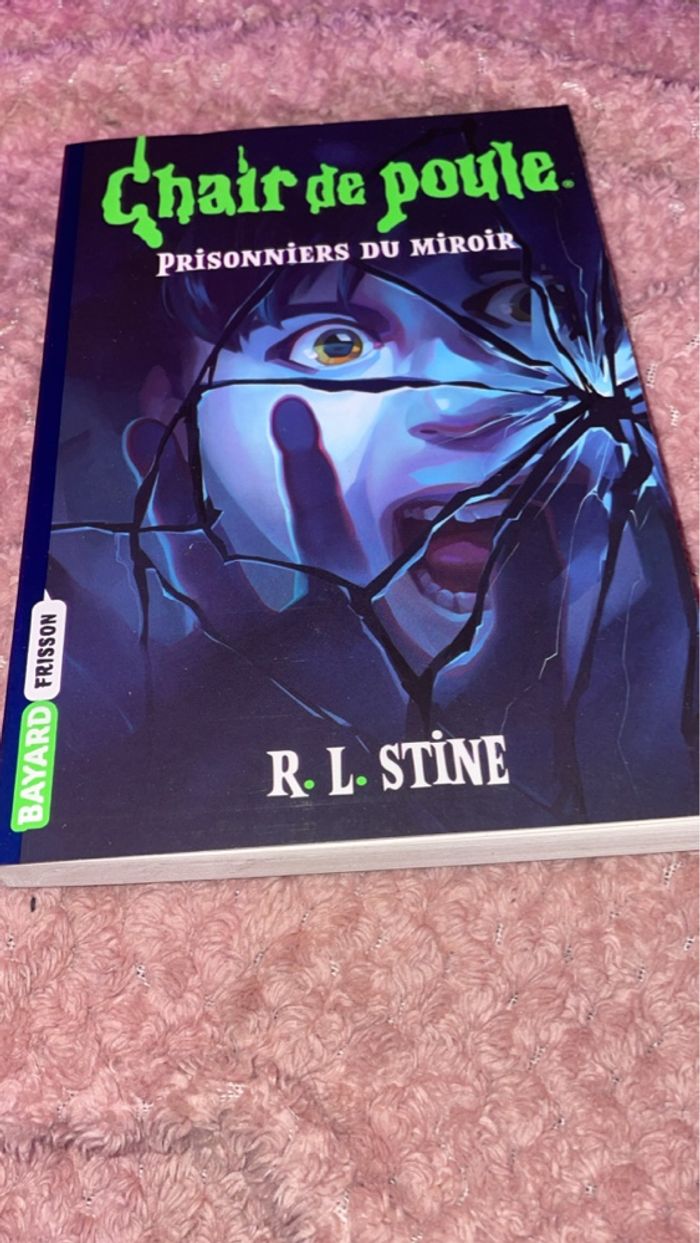 Livre chaire de poule - photo numéro 5