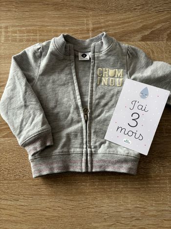 Gilet zippé gris chat Z t.3m