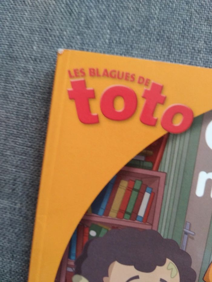 Livre toto - photo numéro 2