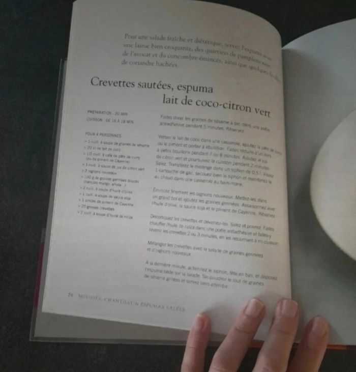 Livre de recettes Mousse, chantilly, espuma et autres recettes au siphon - photo numéro 5