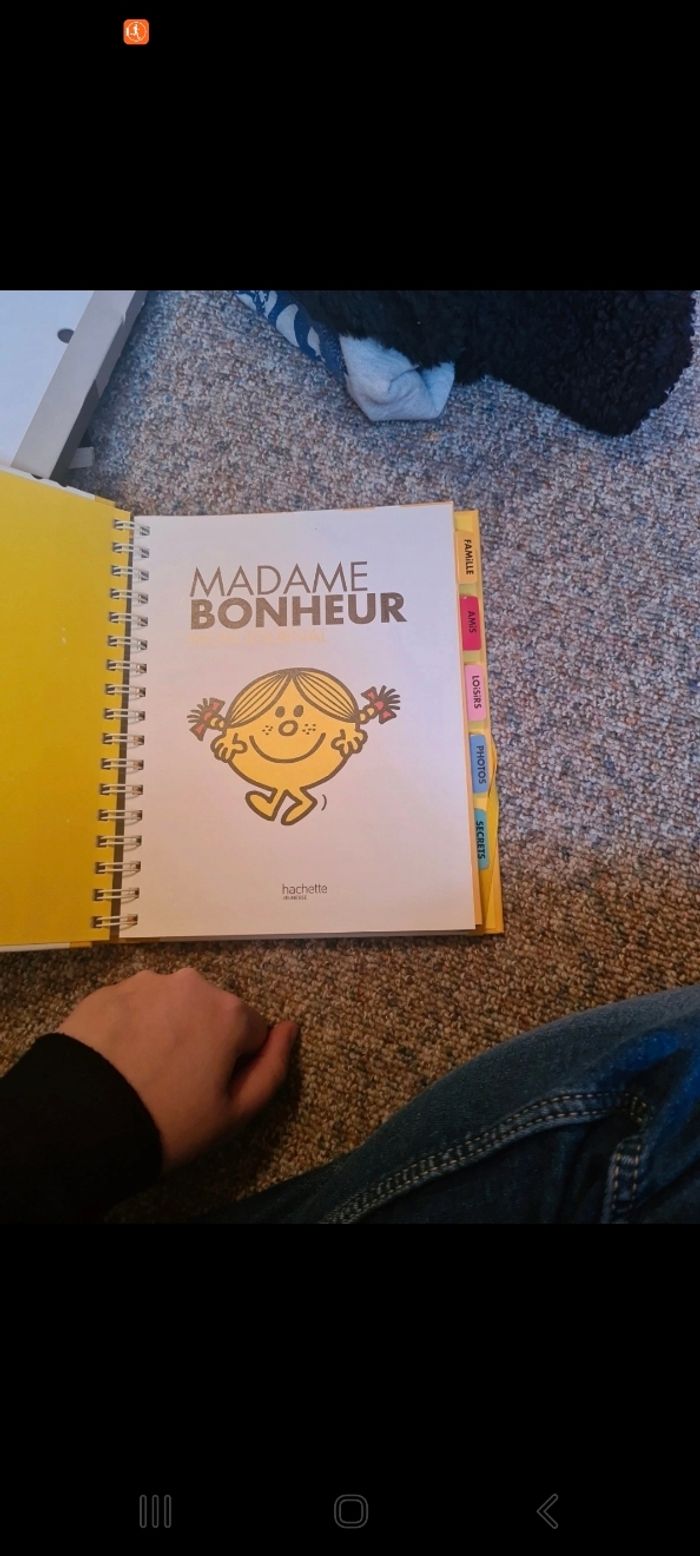 Journal madame bonheur - photo numéro 2