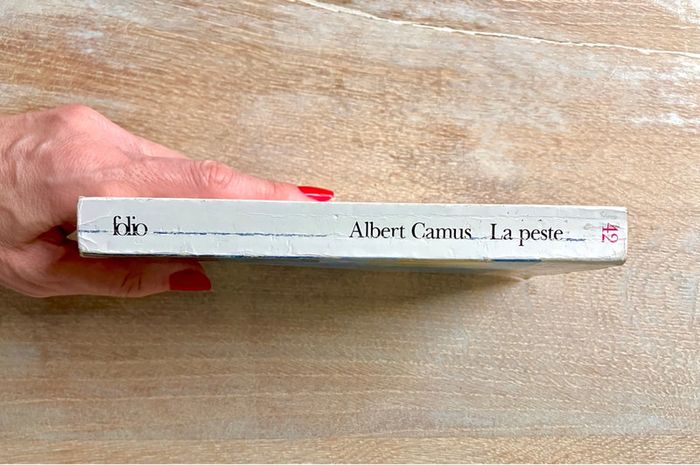 La Peste de Albert Camus Edition Gallimard Collection Folio - photo numéro 5